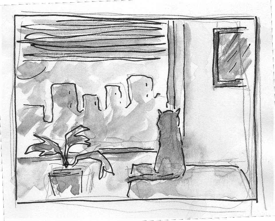 Cat window illustration